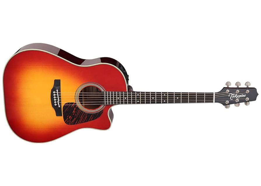 takamineギター Amazon.com: Takamine CP6SSDC 6 Strings Dreadnought Acoustic